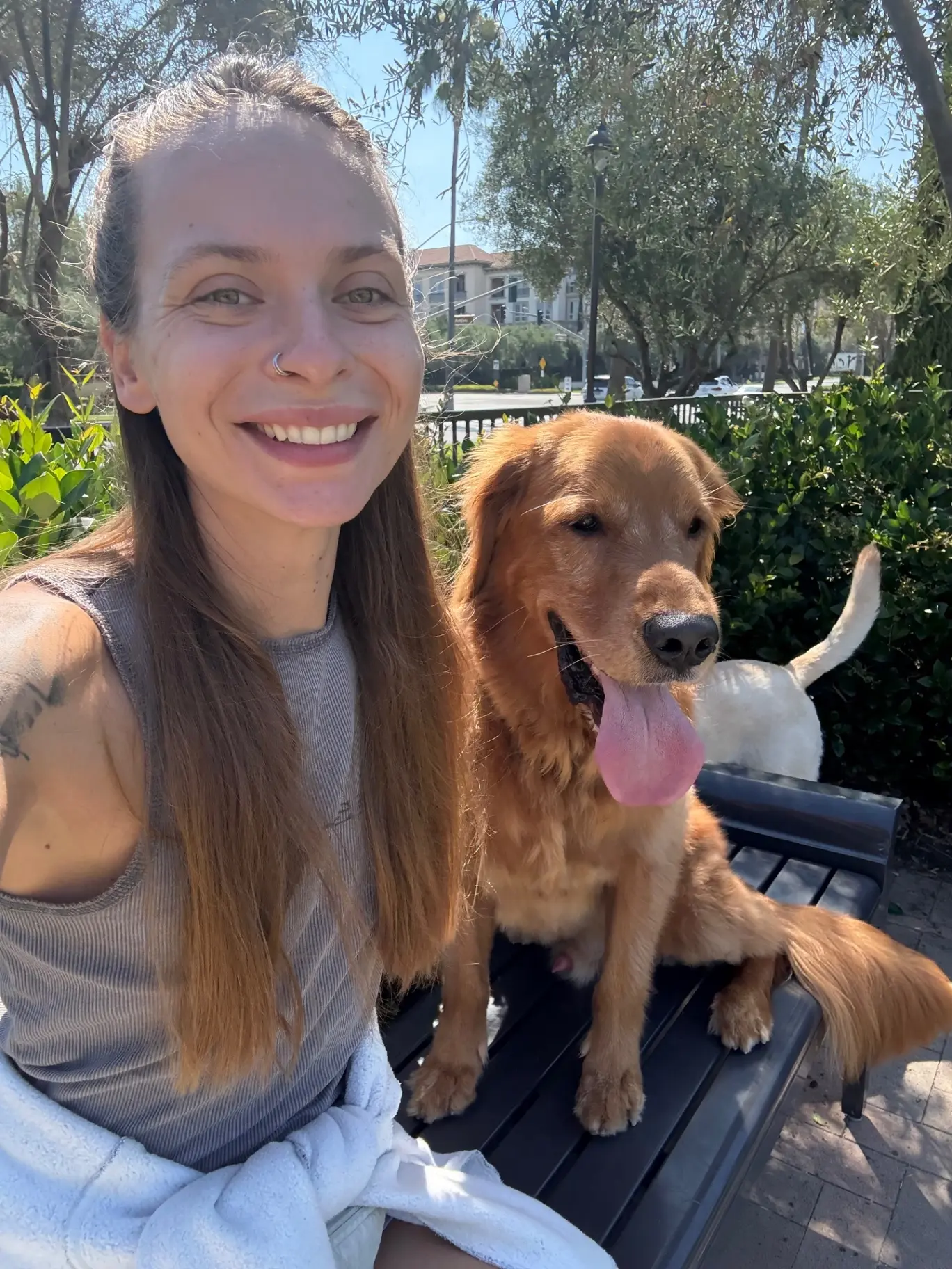 upload 1765836710389