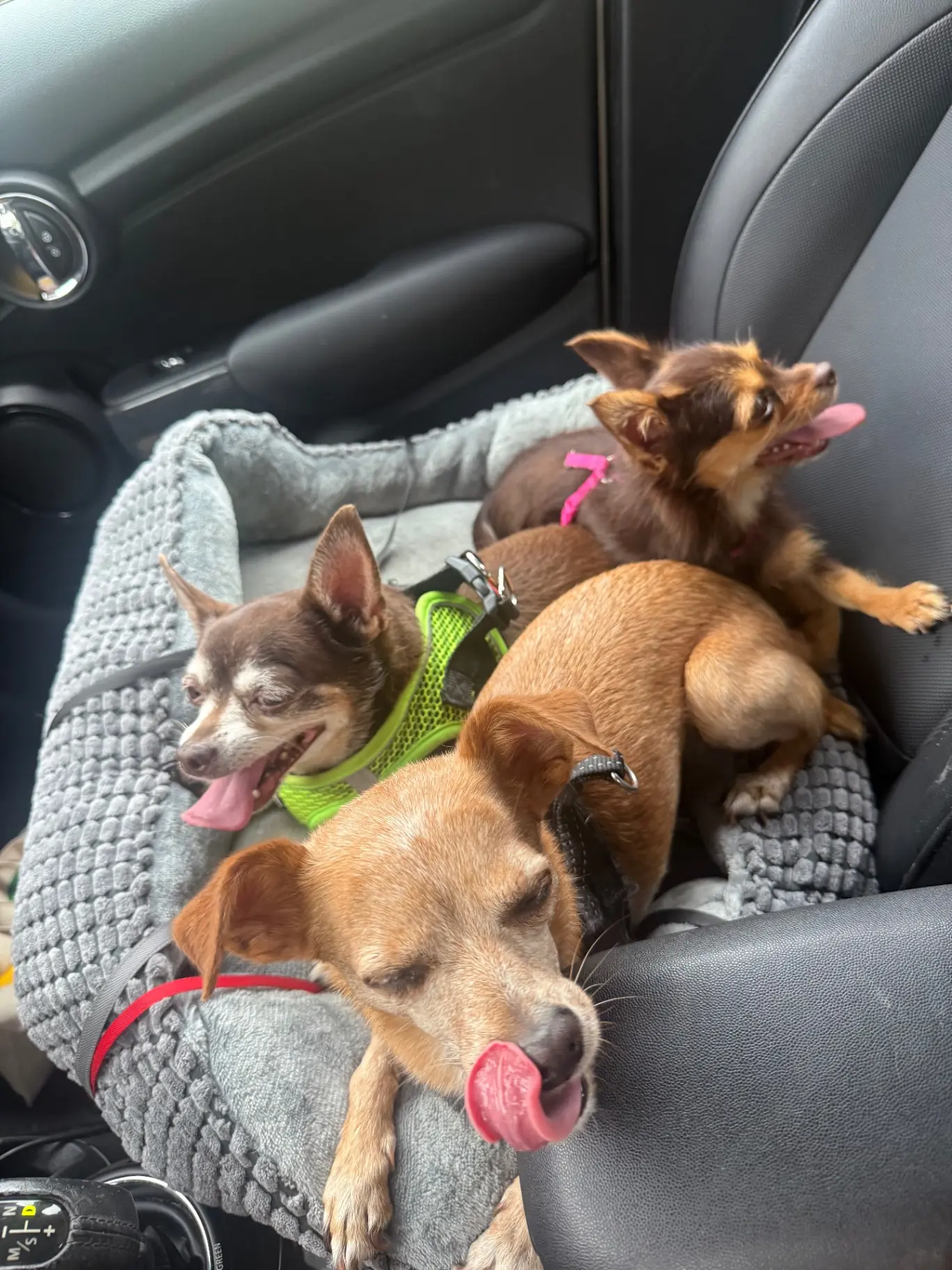 upload 1765836741957