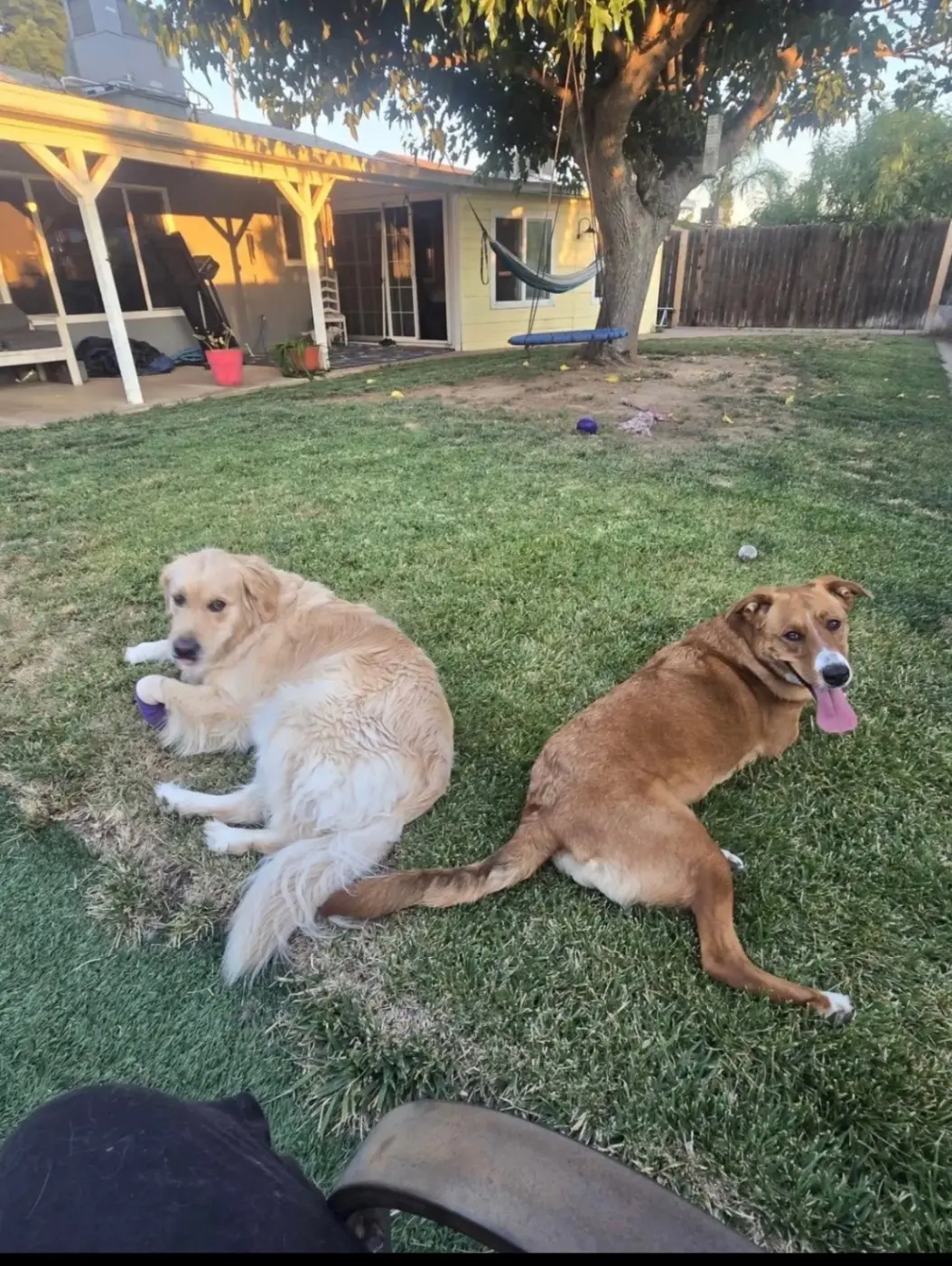 upload 1765779074131