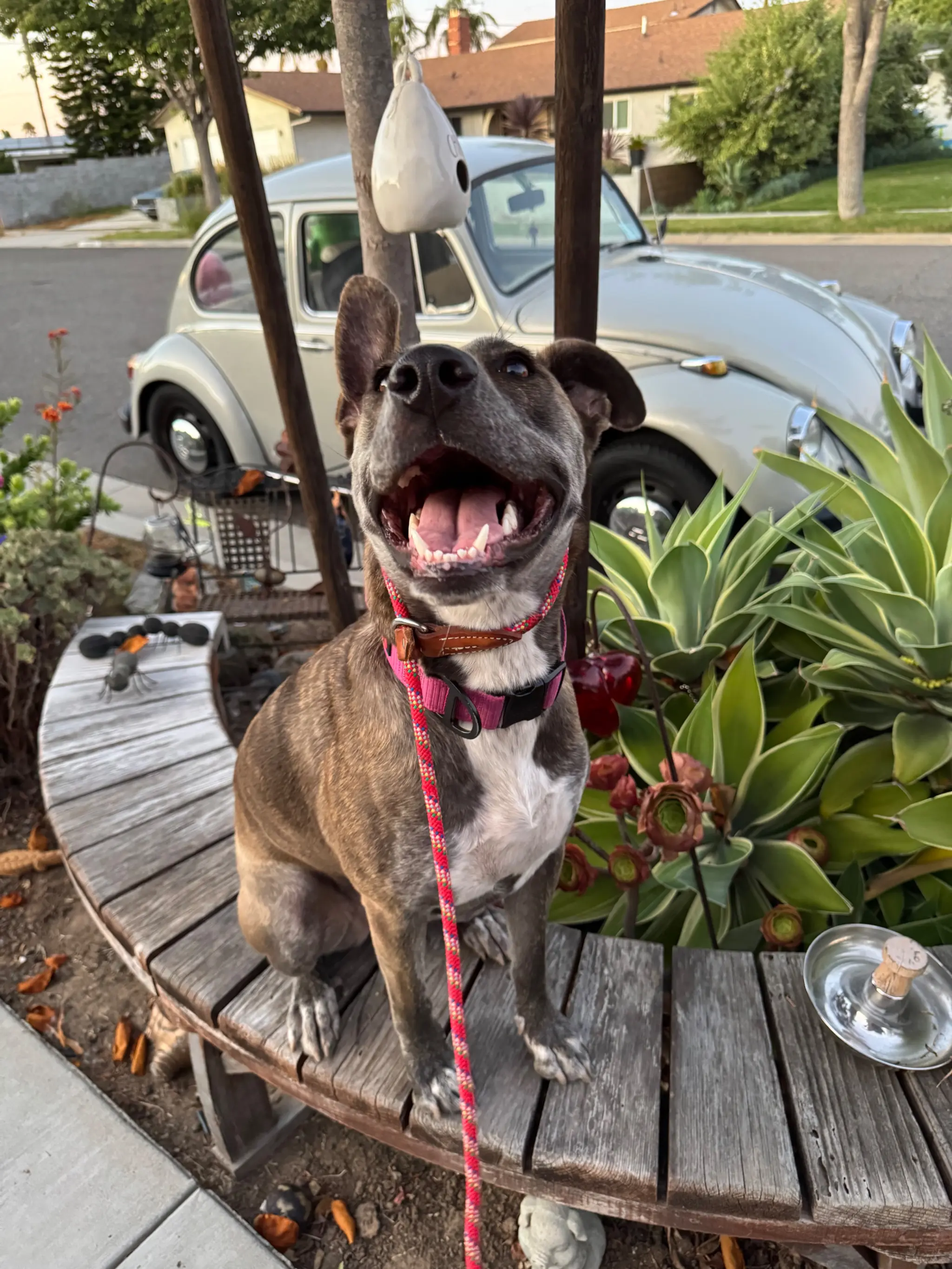 upload 1773376327747