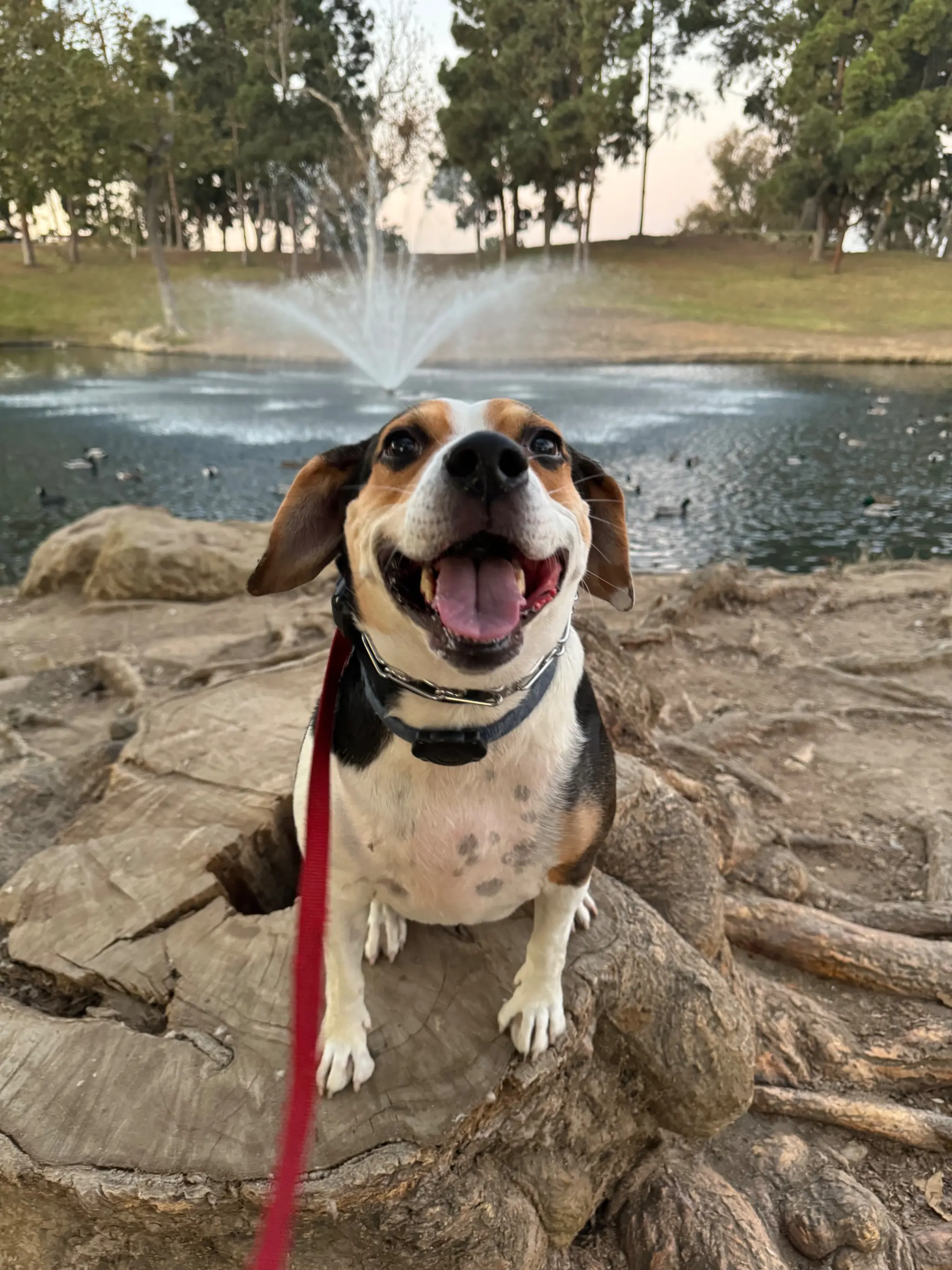 upload 1773376865874