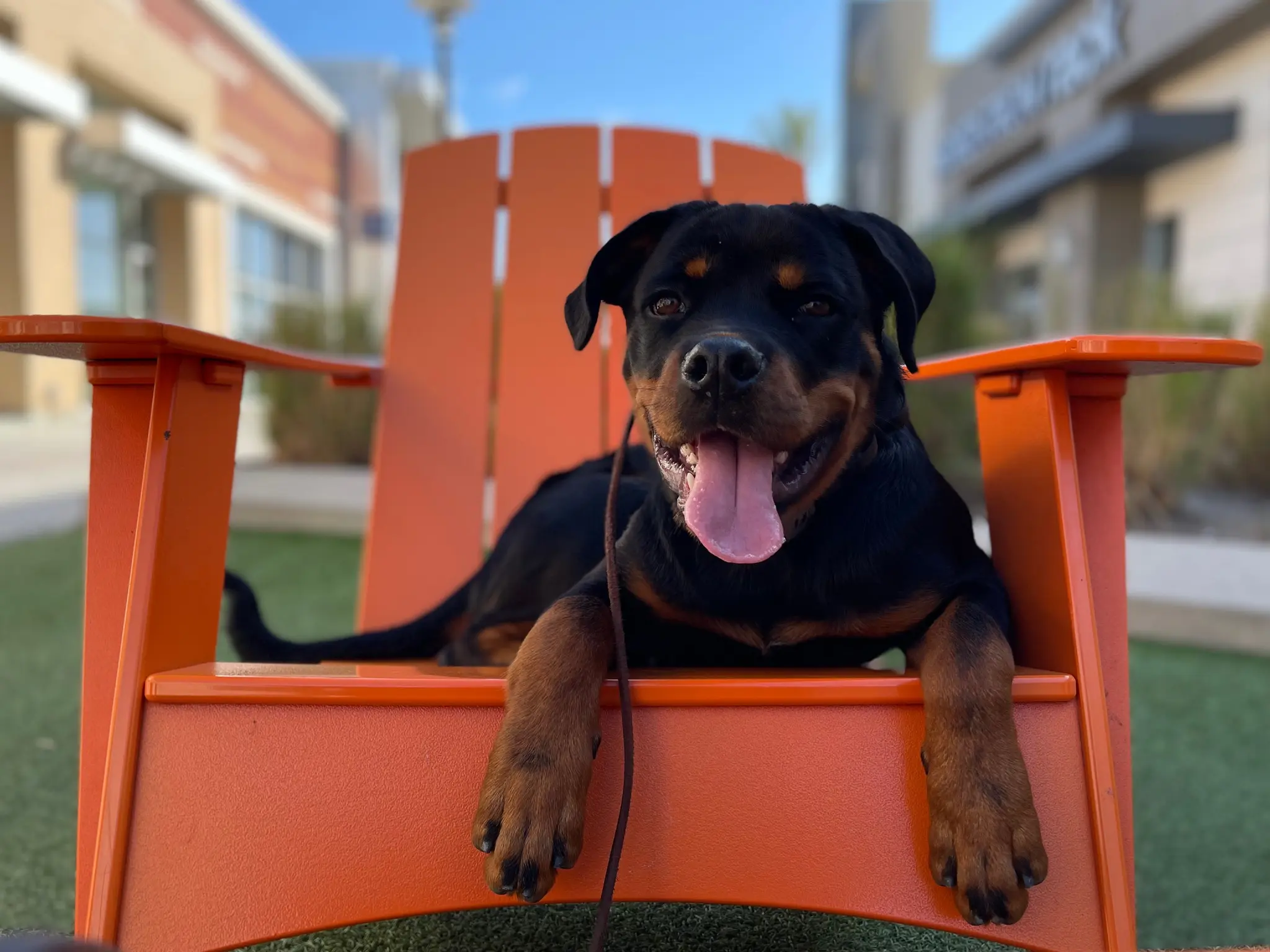 upload 1775103021403