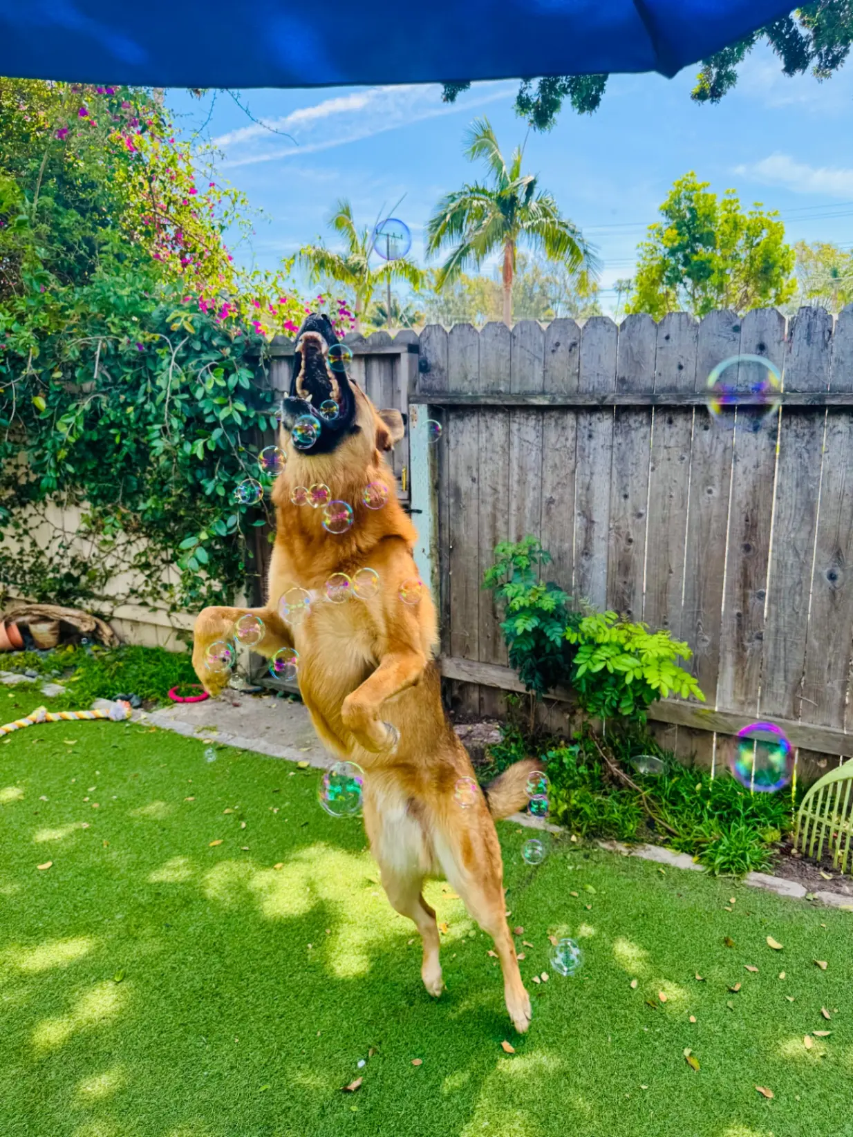 upload 1775149046423