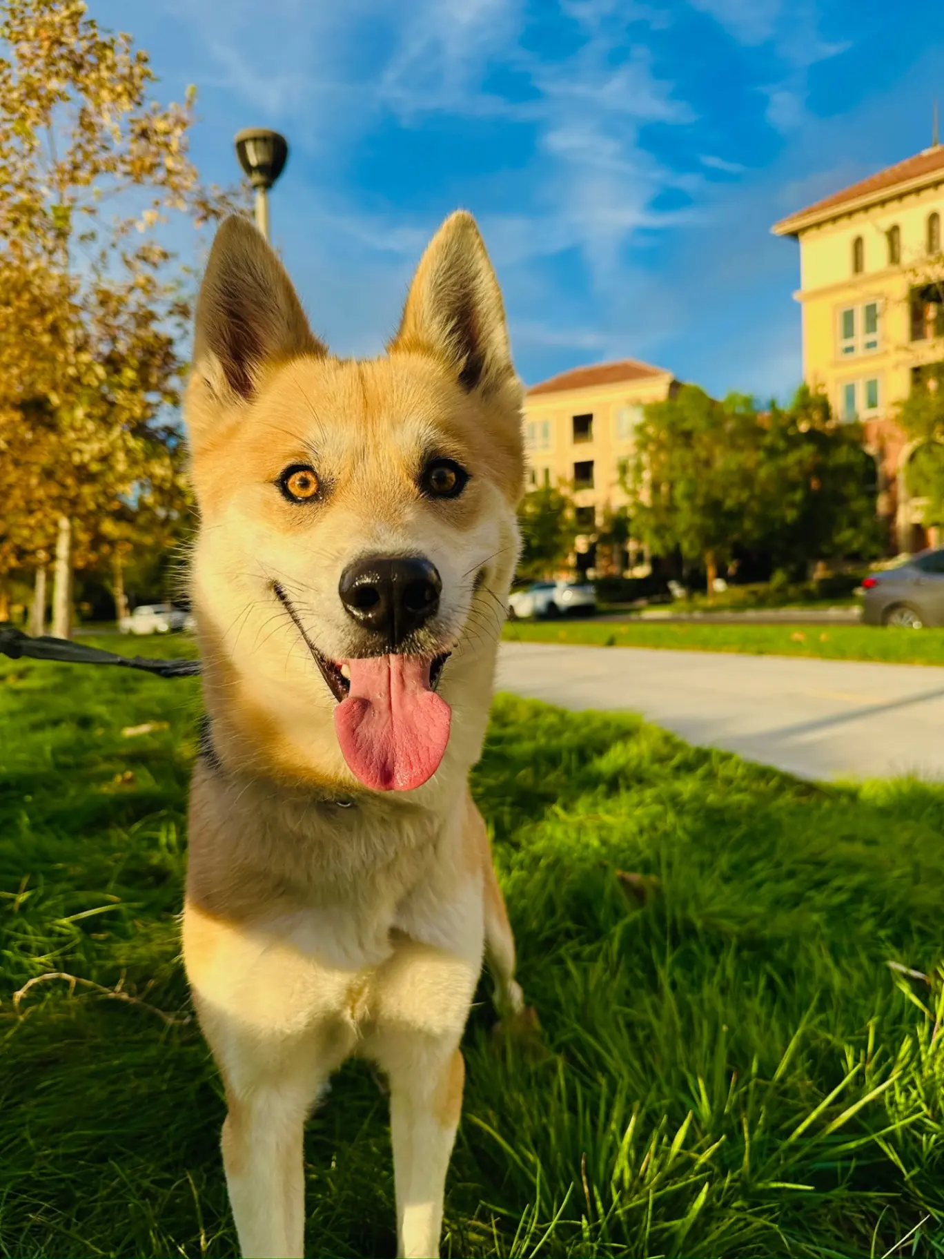 upload 1765777529660