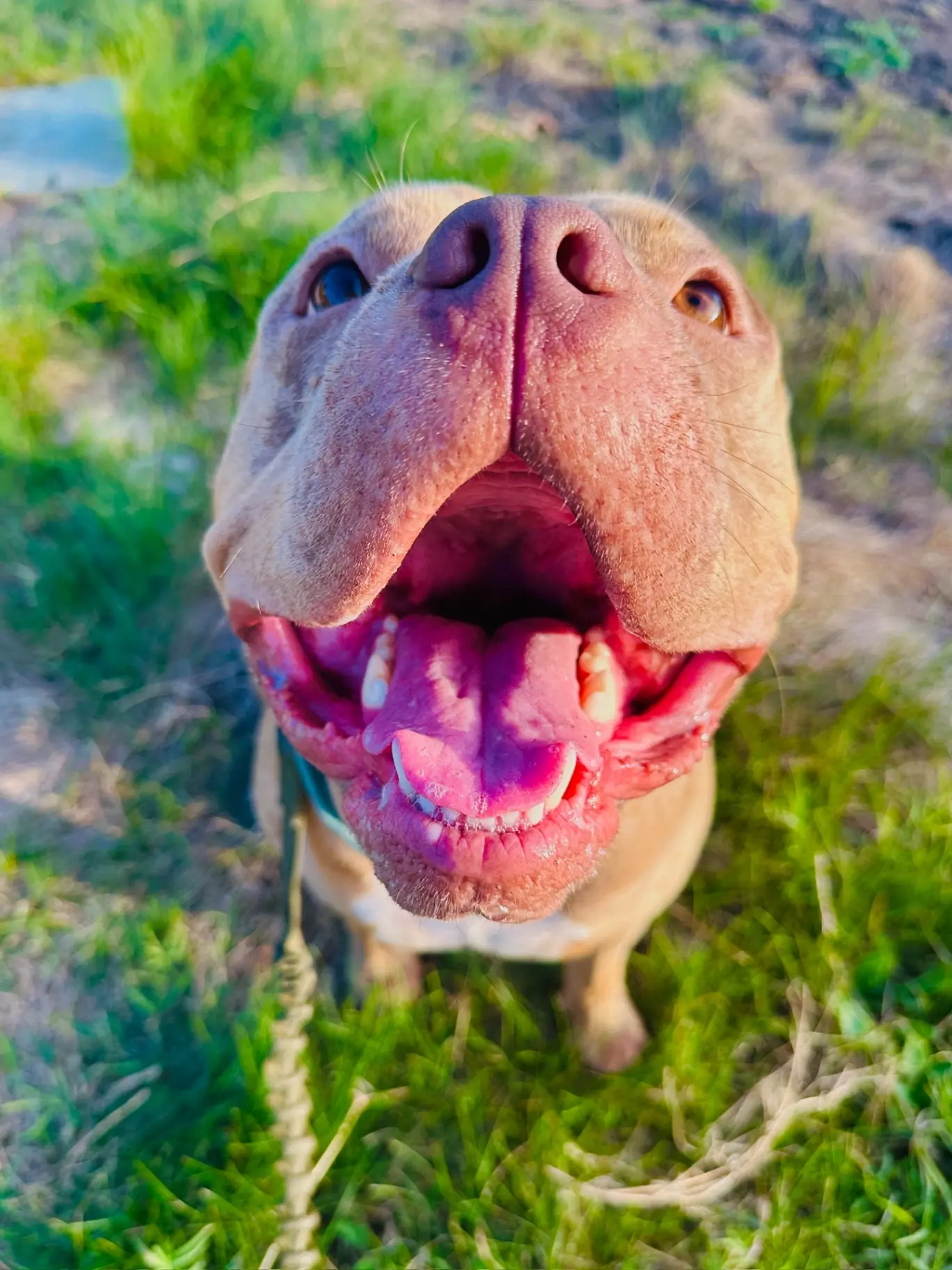 upload 1765777532018