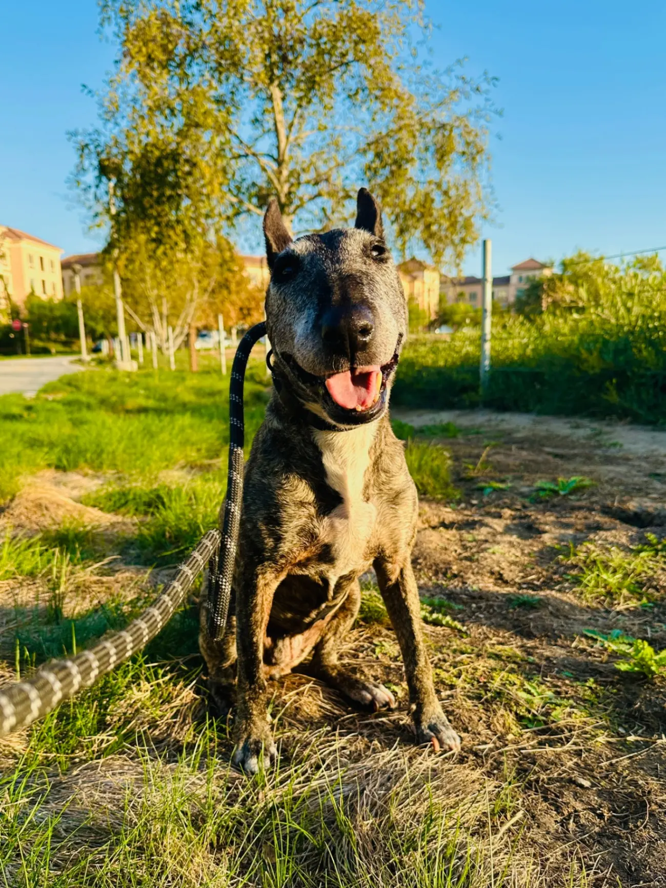 upload 1765777534367